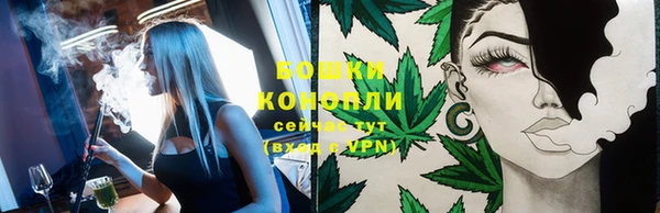 твердый Горнозаводск