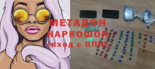 гидра Горняк