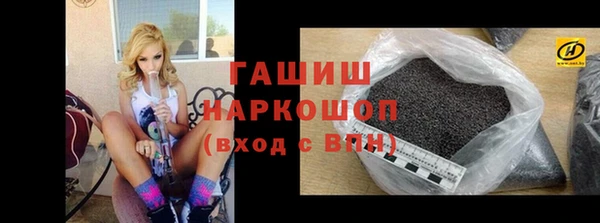 гидра Горняк