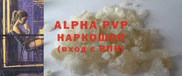 гидра Горняк