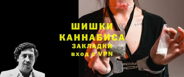 гидра Горняк