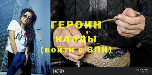 гидра Горняк