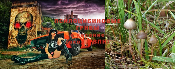 гидра Горняк