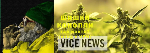 гидра Горняк