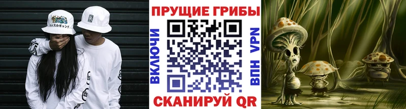 купить наркоту  Мценск  MEGA онион  Галлюциногенные грибы ЛСД 